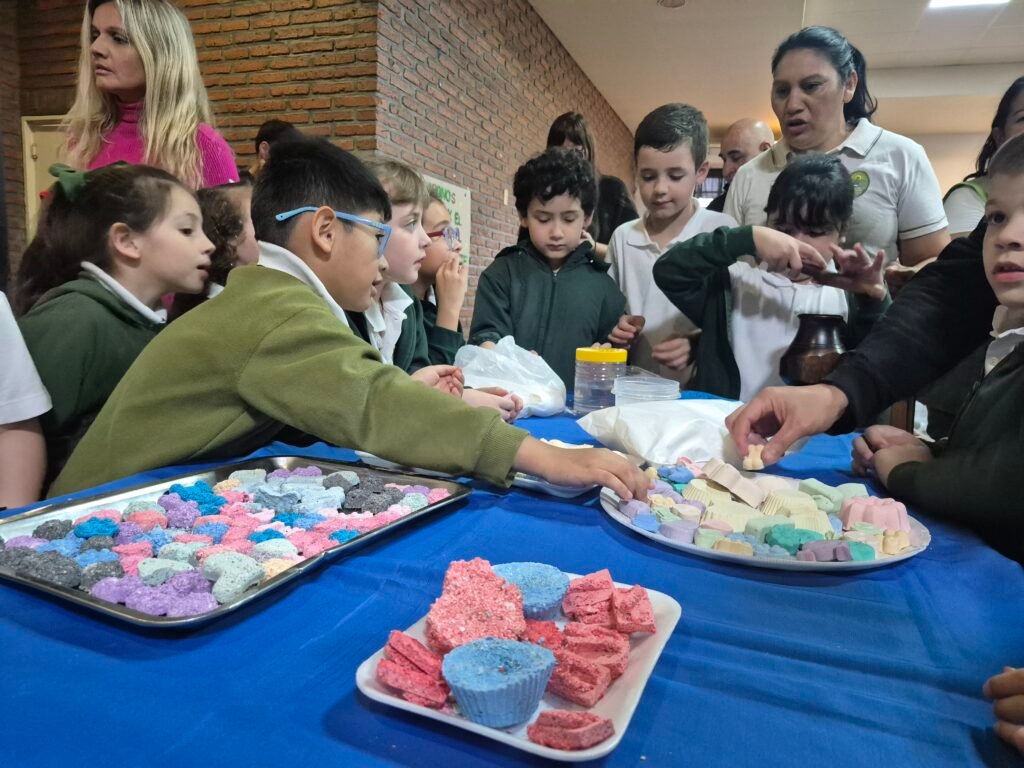 Ciencia, tecnología y conciencia ambiental: una jornada para aprender haciendo en el Nivel Primario 20260831 095540